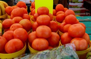 Tomato Mandi Bhav Today in Delhi in Hindi: दिल्ली और उत्तर प्रदेश में टमाटर का मंडी भाव आज का (28 मार्च 2024)